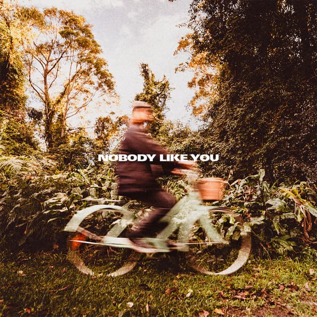 Nobody Like You